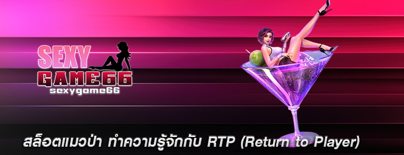 สล็อตแมวป่า ทำความรู้จักกับ RTP (Return to Player)