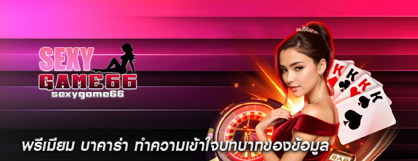 พรีเมียม บาคาร่า ทำความเข้าใจบทบาทของข้อมูล